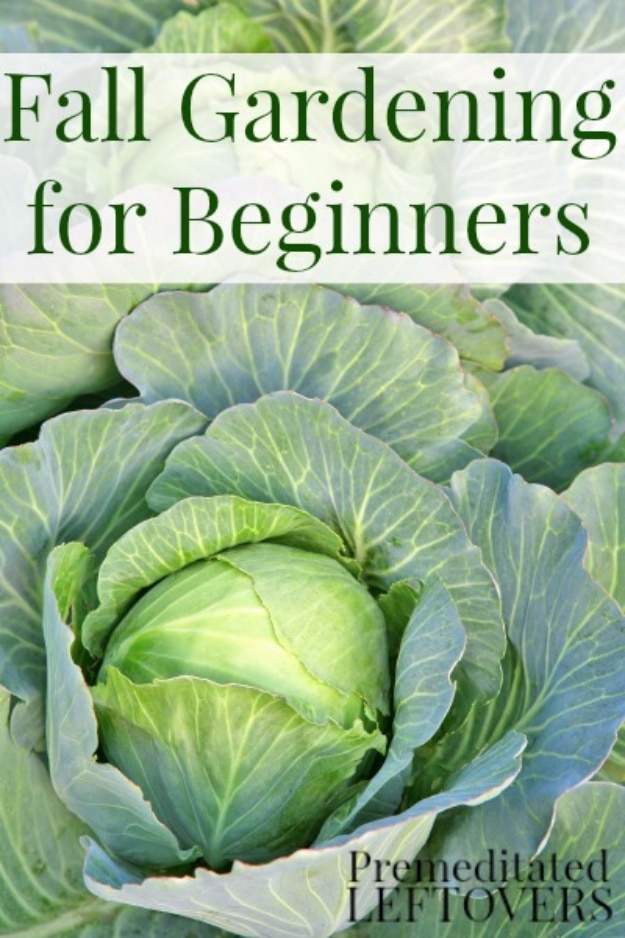 Best Gardening Ideas for Fall - Fall Gardening For Beginners - Cool DIY Garden Ideas for Planting Autumn Varieties of Flowers and Vegetables - Pumpkins, Container Gardens, Planting Tips, Herbs and Easy Ideas for Beginners 