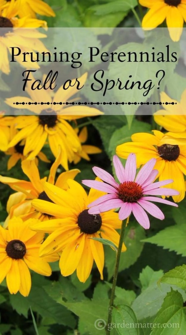 Best Gardening Ideas for Fall - Pruning Perennials For Fall - Cool DIY Garden Ideas for Planting Autumn Varieties of Flowers and Vegetables - Pumpkins, Container Gardens, Planting Tips, Herbs and Easy Ideas for Beginners 