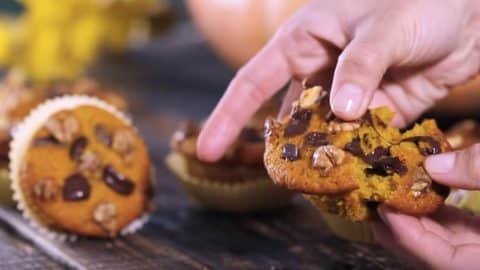 Chocolate Chip Pumpkin Muffin Recipe | DIY Joy Projects and Crafts Ideas