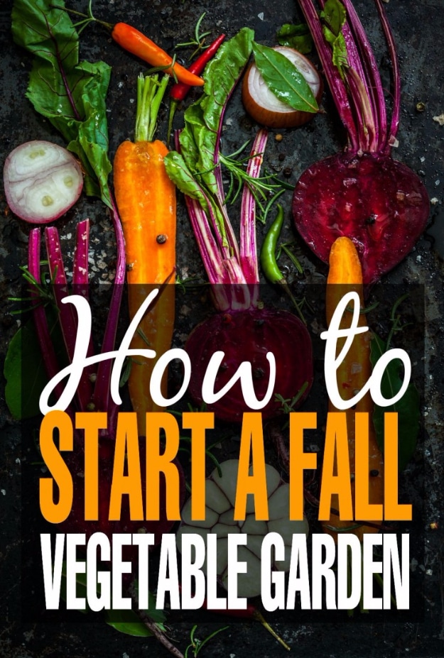Best Gardening Ideas for Fall - Start A Fall Vegetable Garden - Cool DIY Garden Ideas for Planting Autumn Varieties of Flowers and Vegetables - Pumpkins, Container Gardens, Planting Tips, Herbs and Easy Ideas for Beginners 