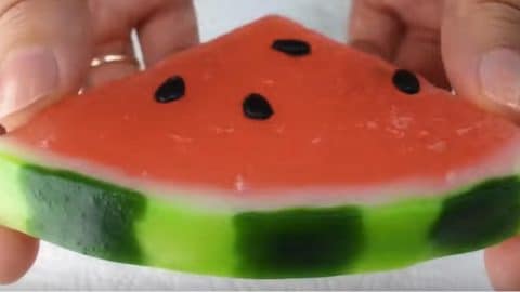 DIY This Lush Copycat Recipe – Yummy Watermelon Soap You Can Make At Home | DIY Joy Projects and Crafts Ideas