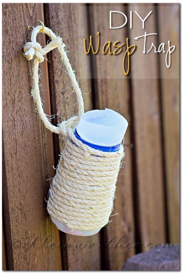 DIY Landscaping Hacks - DIY Wasp Trap - Easy Ways to Make Your Yard and Home Look Awesome in Fall, Winter, Spring and Fall. Backyard Projects for Beginning Gardeners and Lawns - Tutorials and Step by Step Instructions