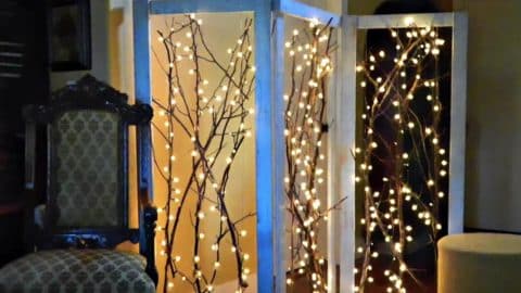 Watch How He Creates This Fabulous Twinkling Branches Room Divider (Sensational!) | DIY Joy Projects and Crafts Ideas