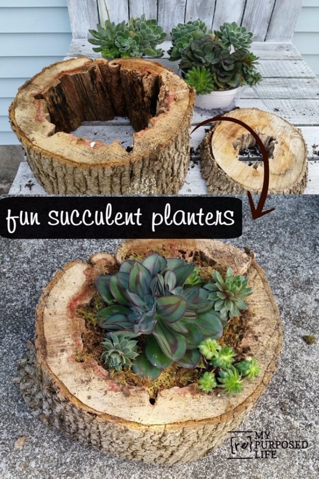 DIY Landscaping Hacks - Succulent Planter From Rotted Tree Trunk Pieces - Easy Ways to Make Your Yard and Home Look Awesome in Fall, Winter, Spring and Fall. Backyard Projects for Beginning Gardeners and Lawns - Tutorials and Step by Step Instructions 