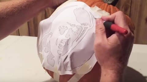 Oh My Gosh…Watch How He Makes A Remarkable Trumpkin-Pumpkin (Hilarious!) | DIY Joy Projects and Crafts Ideas