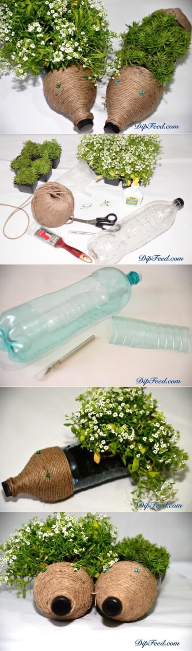 Cool DIY Projects Made With Plastic Bottles - Cute Hedgehog Planters - Best Easy Crafts and DIY Ideas Made With A Recycled Plastic Bottle - Jewlery, Home Decor, Planters, Craft Project Tutorials - Cheap Ways to Decorate and Creative DIY Gifts for Christmas Holidays - Fun Projects for Adults, Teens and Kids 