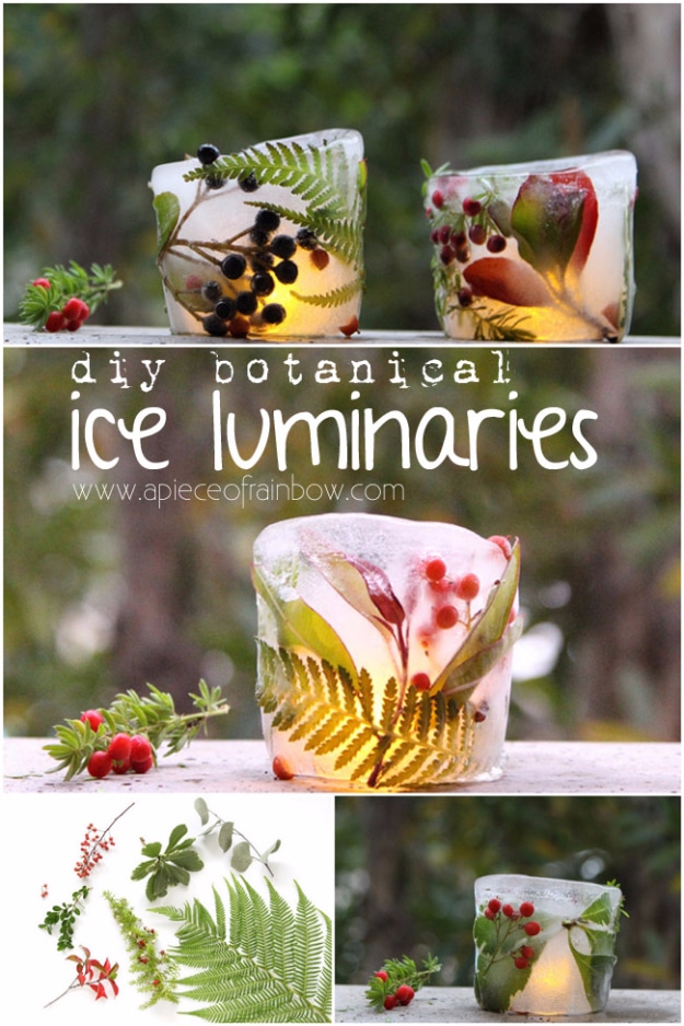 DIY Christmas Luminaries and Home Decor for The Holidays - DIY Botanical Ice Luminaries - Cool Candle Holders, Tea Lights, Holiday Gift Ideas, Christmas Crafts for Kids #diy #luminaries #christmas