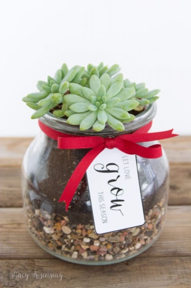 DIY Gift for the Office - DIY Succulent Gift - DIY Gift Ideas for Your Boss and Coworkers - Cheap and Quick Presents to Make for Office Parties, Secret Santa Gifts - Cool Mason Jar Ideas, Creative Gift Baskets and Easy Office Christmas Presents 