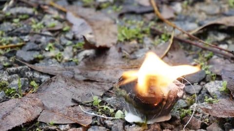 He Shows Us How To Make Some Insanely Cheap Fire Starters…Good Bye Duraflame Logs! | DIY Joy Projects and Crafts Ideas