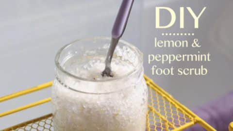 She Makes A Fabulous Lemon Peppermint Foot Scrub To Relieve Her Tired Feet… | DIY Joy Projects and Crafts Ideas