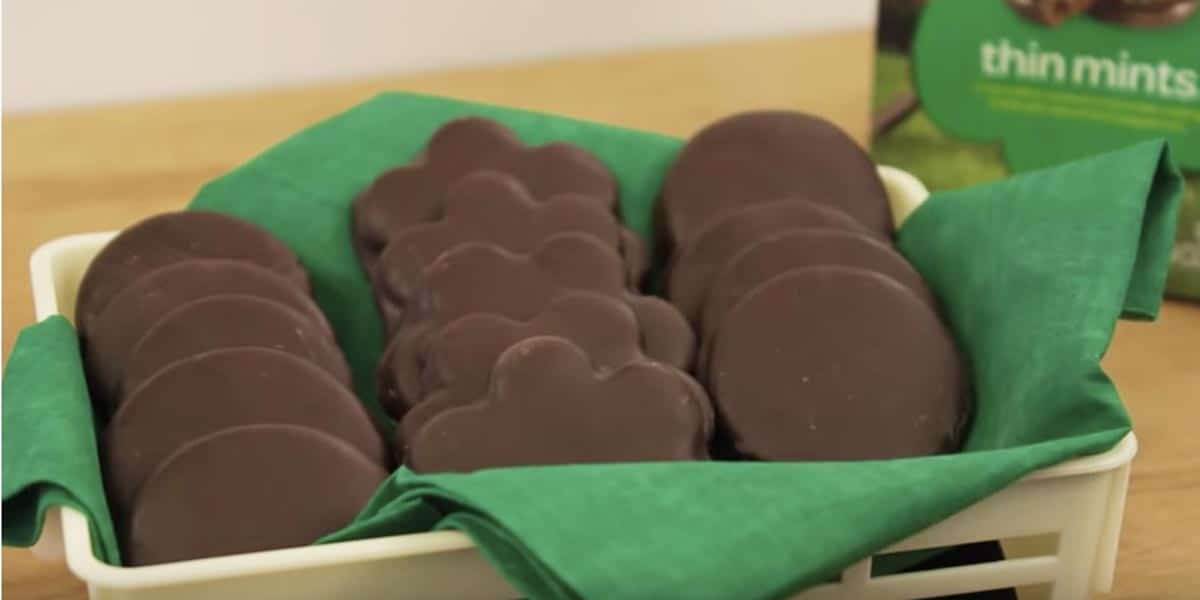 Homemade Thin Mints Recipe | DIY Joy Projects and Crafts Ideas