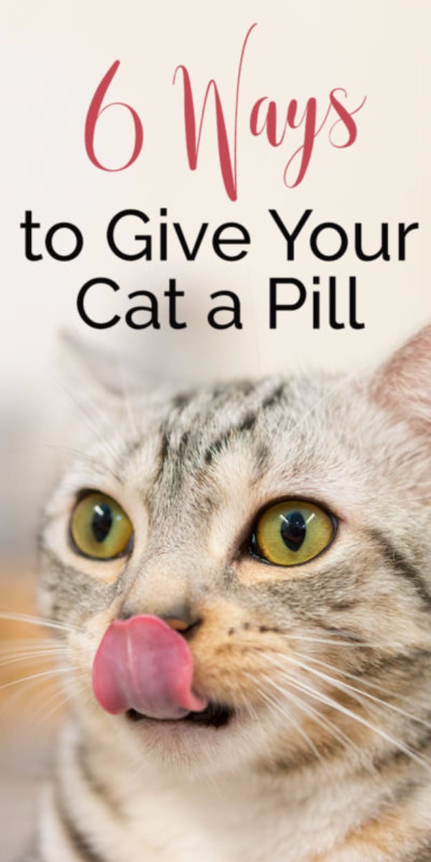 DIY Cat Hacks - 6 Ways To Give Your Cat A Pill - Tips and Tricks Ideas for Cat Beds and Toys, Homemade Remedies for Fleas and Scratching - Do It Yourself Cat Treat Recips, Food and Gear for Your Pet - Cool Gifts for Cats #cathacks #cats #pets