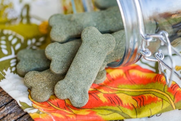 DIY Dog Hacks -Breath Freshening Dog Treats - Training Tips, Ideas for Dog Beds and Toys, Homemade Remedies for Fleas and Scratching - Do It Yourself Dog Treat Recips, Food and Gear for Your Pet #dogs #diy #crafts