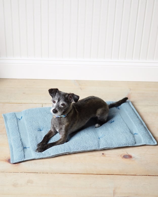 DIY Dog Hacks - Cozy Travel Cushion for Pets - Training Tips, Ideas for Dog Beds and Toys, Homemade Remedies for Fleas and Scratching - Do It Yourself Dog Treat Recips, Food and Gear for Your Pet #dogs #diy #crafts