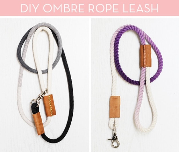 DIY Dog Hacks - DIY Dip Dyed Rope Dog Leash - Training Tips, Ideas for Dog Beds and Toys, Homemade Remedies for Fleas and Scratching - Do It Yourself Dog Treat Recips, Food and Gear for Your Pet #dogs #diy #crafts