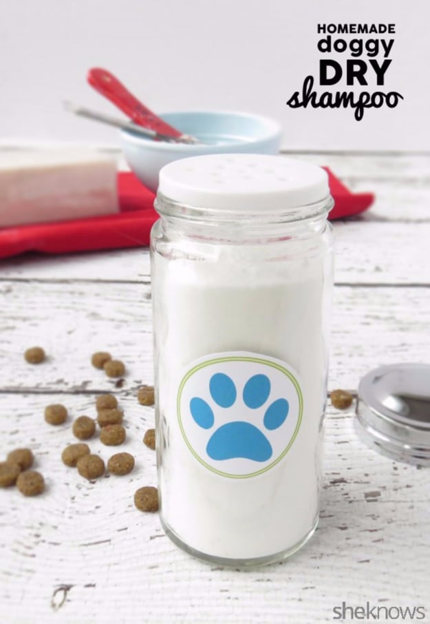 Best DIY Hacks for The New Year - DIY Dry Shampoo For Dogs - Easy Organizing and Home Improvement Ideas - Tips and Tricks for Quick DIY Ideas to Simplify Life - Step by Step Hack Tutorials for Genius Ways to Make Quick Things Easier #diyhacks #hacks