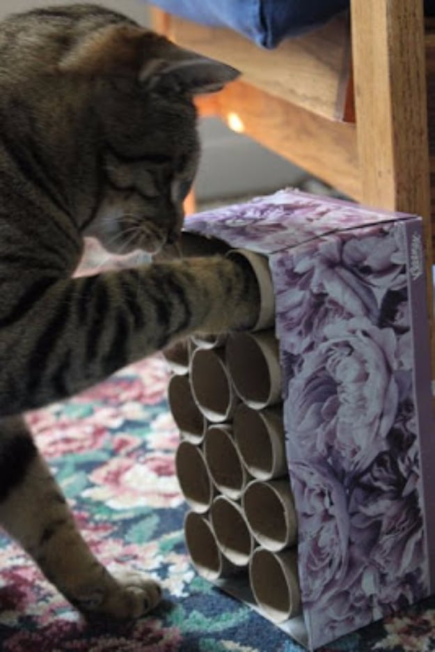 DIY Cat Hacks - Easy Cat Mystery Box - Tips and Tricks Ideas for Cat Beds and Toys, Homemade Remedies for Fleas and Scratching - Do It Yourself Cat Treat Recips, Food and Gear for Your Pet - Cool Gifts for Cats #cathacks #cats #pets