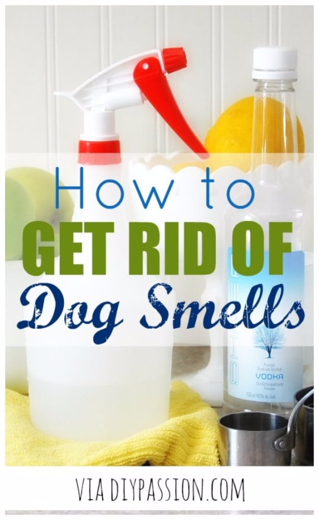 DIY Dog Hacks - Get Rid Of Dog Smells - Training Tips, Ideas for Dog Beds and Toys, Homemade Remedies for Fleas and Scratching - Do It Yourself Dog Treat Recips, Food and Gear for Your Pet #dogs #diy #crafts