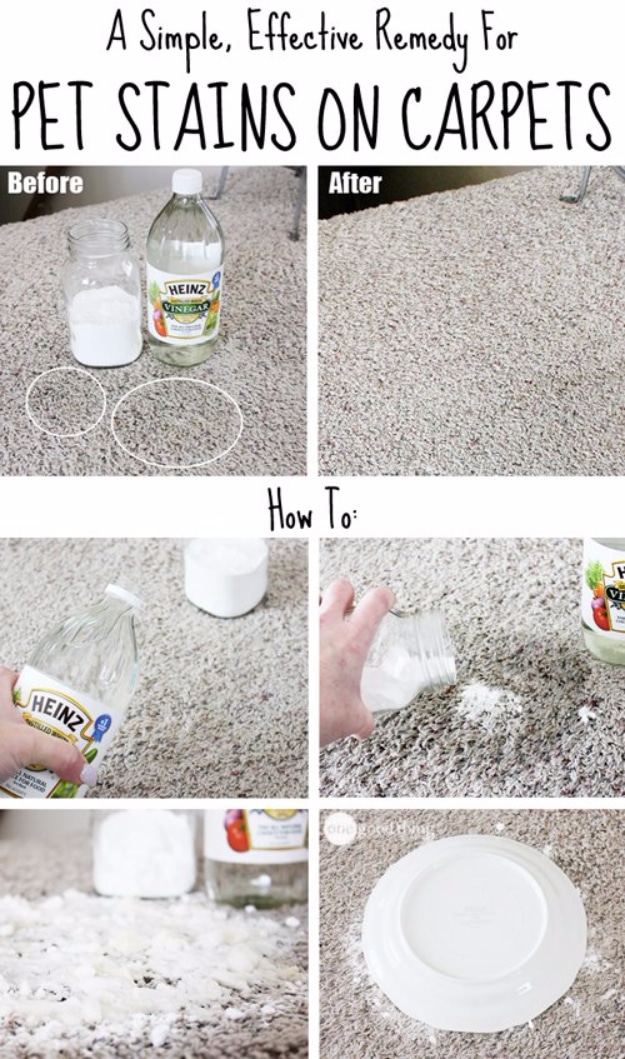 DIY Dog Hacks - Remove Pet Stains From The Carpet - Training Tips, Ideas for Dog Beds and Toys, Homemade Remedies for Fleas and Scratching - Do It Yourself Dog Treat Recips, Food and Gear for Your Pet #dogs #diy #crafts