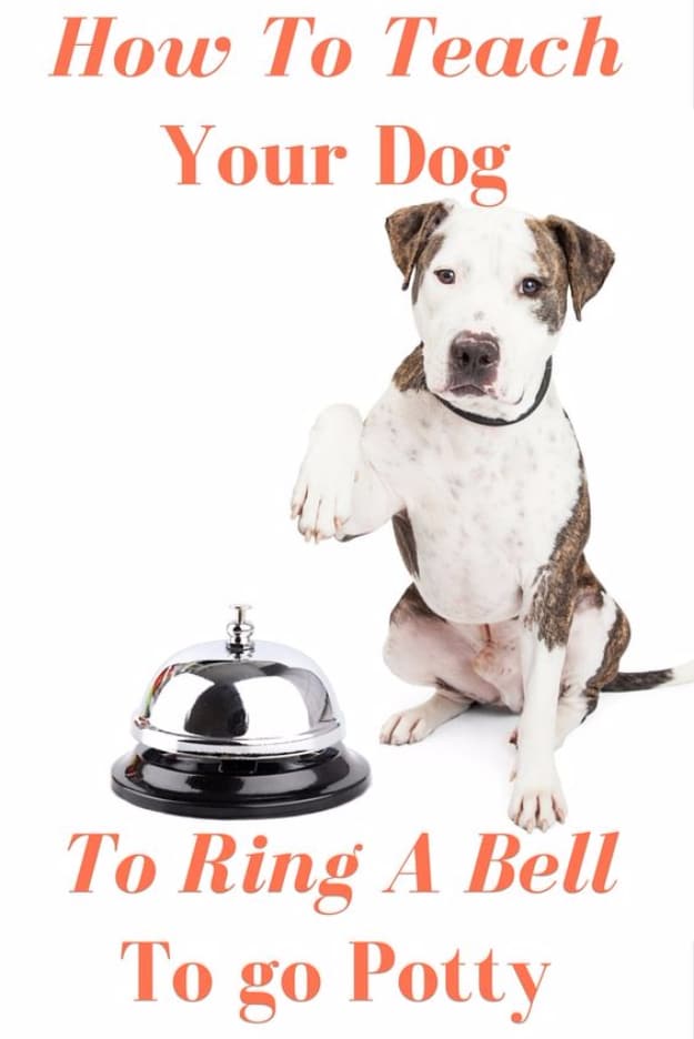 DIY Dog Hacks - Train Your Dog To Ring A Bell To Go Potty - Training Tips, Ideas for Dog Beds and Toys, Homemade Remedies for Fleas and Scratching - Do It Yourself Dog Treat Recips, Food and Gear for Your Pet #dogs #diy #crafts