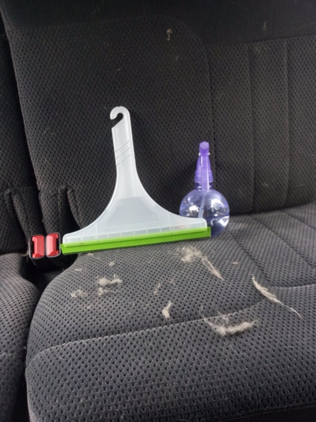 DIY Dog Hacks - Use A Squeegee To Remove Dog Hairs From Your Car - Training Tips, Ideas for Dog Beds and Toys, Homemade Remedies for Fleas and Scratching - Do It Yourself Dog Treat Recips, Food and Gear for Your Pet #dogs #diy #crafts