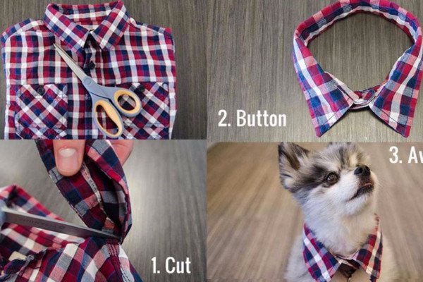 DIY Dog Hacks - Training Tips, Ideas for Dog Beds and Toys, Homemade Remedies for Fleas and Scratching - Do It Yourself Dog Treat Recips, Food and Gear for Your Pet