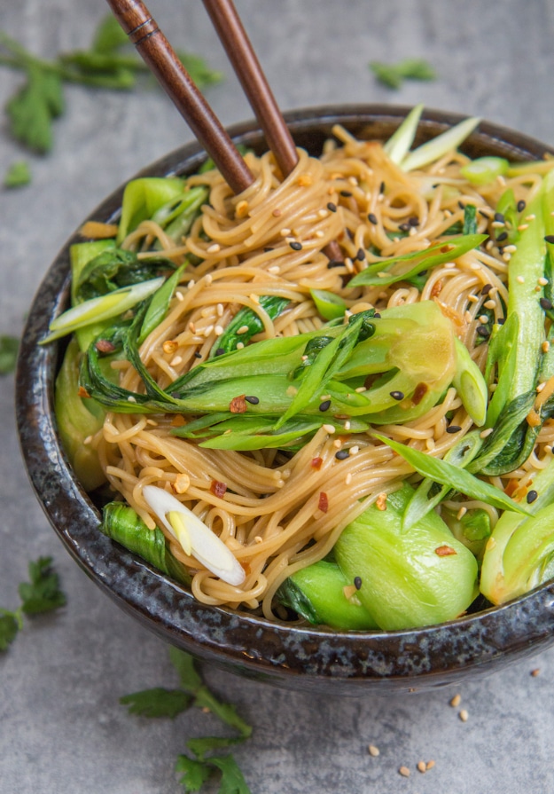 Quick and Healthy Dinner Recipes - 15 Minute Sesame Ginger Noodles - Easy and Fast Recipe Ideas for Dinners at Home - Chicken, Beef, Ground Meat, Pasta and Vegetarian Options - Cheap Dinner Ideas for Family, for Two , for Last Minute Cooking #recipes #healthyrecipes