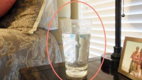 Put a Glass of Water, Salt and Vinegar In A Room…Wait 24 Hours You’ll Be Amazed What Happens! | DIY Joy Projects and Crafts Ideas
