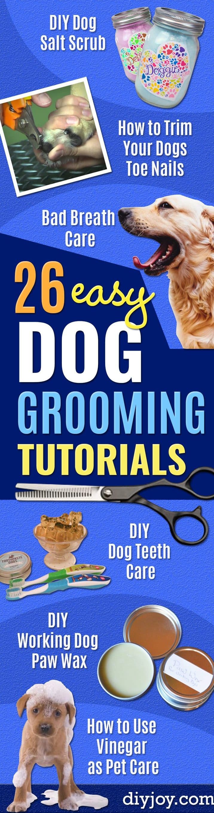 26 Dog Grooming Tutorials For A Clean Pup