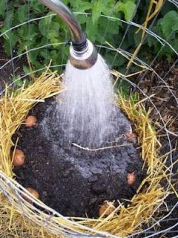DIY Spring Gardening Projects - Build A Potato Tower - Cool and Easy Planting Tips for Spring Garden - Step by Step Tutorials for Growing Seeds, Plants, Vegetables and Flowers in You Yard - DIY Project Ideas for Women and Men - Creative and Quick Backyard Ideas For Summer 