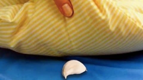 Put Garlic Under Your Pillow and This Will Happen to You… | DIY Joy Projects and Crafts Ideas