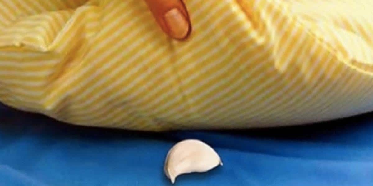 Put Garlic Under Your Pillow and This Will Happen to You… | DIY Joy Projects and Crafts Ideas