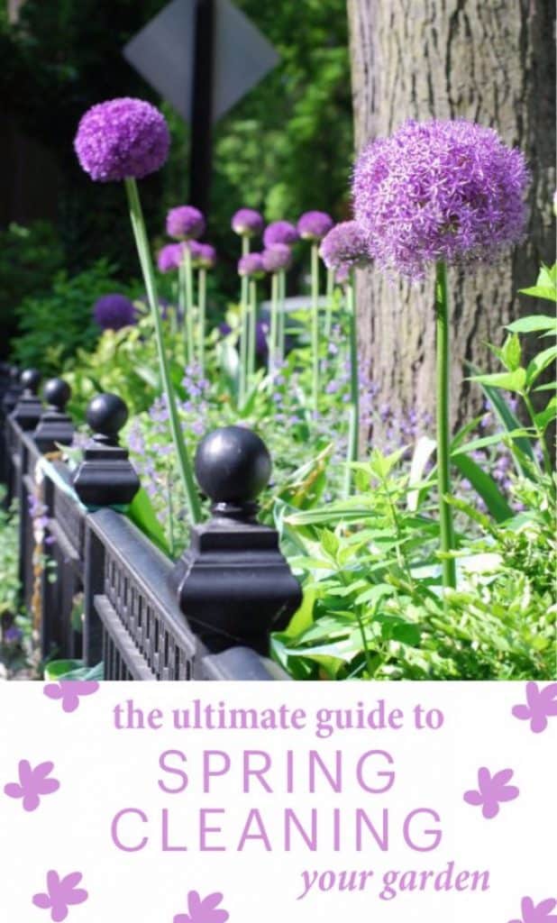 31 DIY Tips for Spring Gardening - DIY Joy