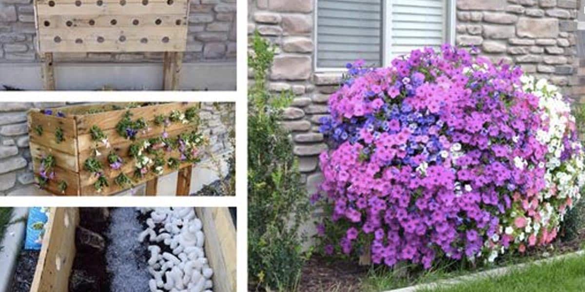 Watch How She Builds An Outrageously Beautiful Planter Box Out Of Pallets! | DIY Joy Projects and Crafts Ideas