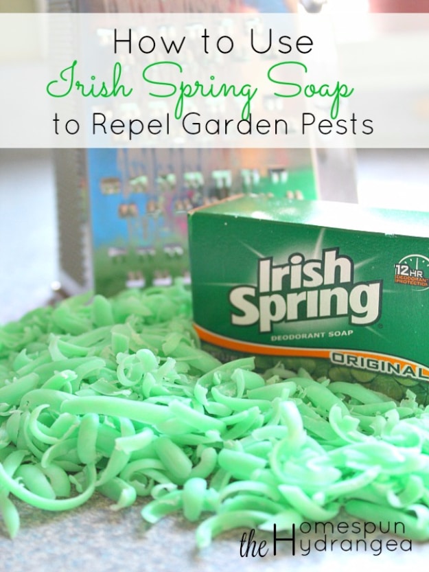 DIY Spring Gardening Projects - Repel Garden Pests - Cool and Easy Planting Tips for Spring Garden - Step by Step Tutorials for Growing Seeds, Plants, Vegetables and Flowers in You Yard - DIY Project Ideas for Women and Men - Creative and Quick Backyard Ideas For Summer 