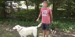 Surprisingly Easy Tip For Getting Your Dog To Stop Pulling On The Leash…