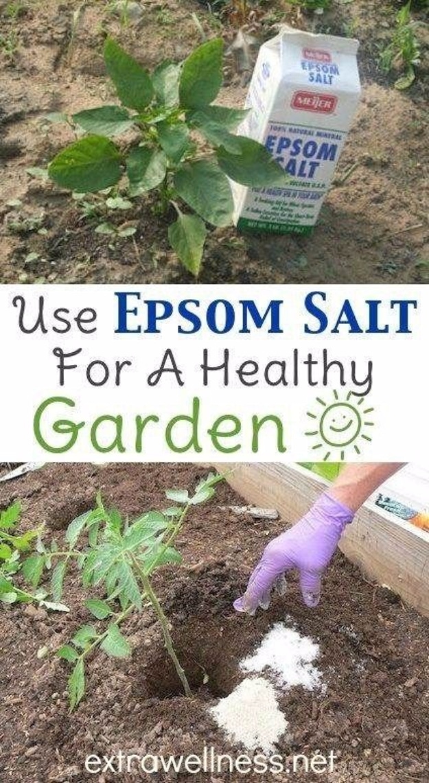 DIY Spring Gardening Projects - Use Epsom Salt For A Healthy Garden - Cool and Easy Planting Tips for Spring Garden - Step by Step Tutorials for Growing Seeds, Plants, Vegetables and Flowers in You Yard - DIY Project Ideas for Women and Men - Creative and Quick Backyard Ideas For Summer 