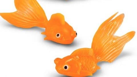 Clever Gal Takes A Plastic Goldfish And Watch What She Does With It. Amazing! | DIY Joy Projects and Crafts Ideas