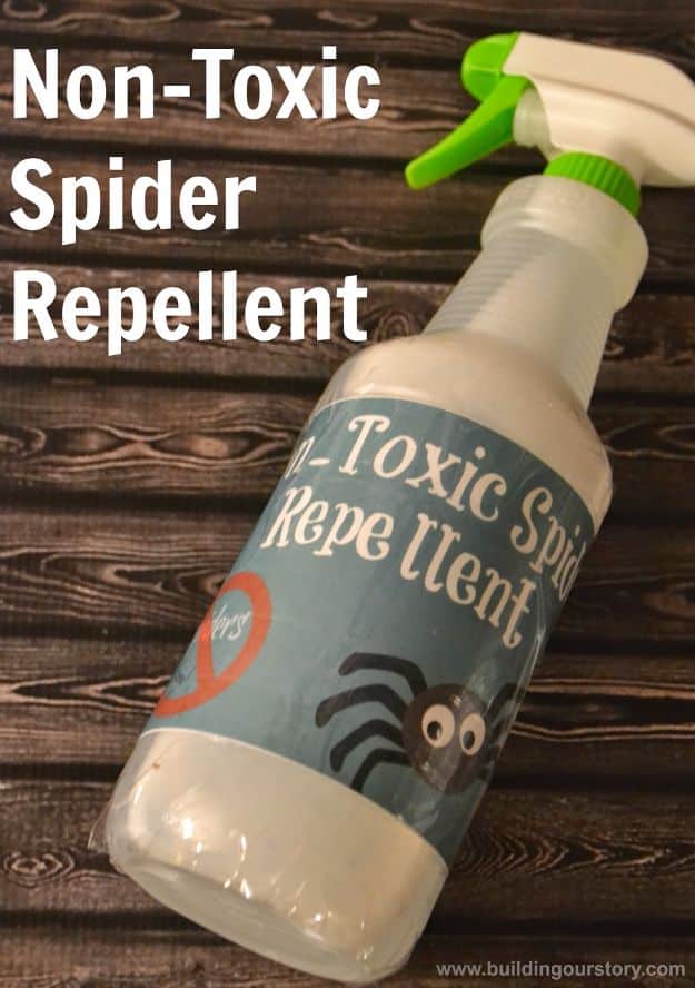Best Ways to Get Rid of Bugs - Homemade Non-Toxic Spider Repellent - Easy Tips and Tricks to Get Rid of Roaches, Ants, Fleas and Flies - DIY Ways To Exterminate and Elimiate Pests from Your Home and Yard, Picnics and Outdoor Barbecue 