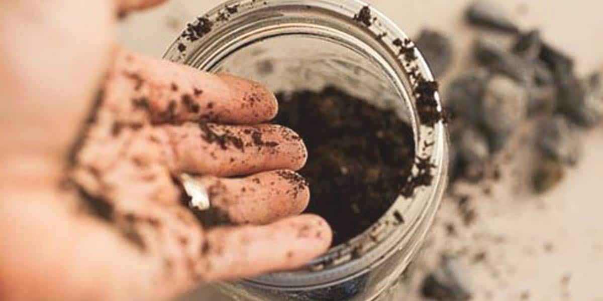 Getting A Little Dirt On Your Hands Is Worth It To Have This Awesome Perk At Your Fingertips! | DIY Joy Projects and Crafts Ideas