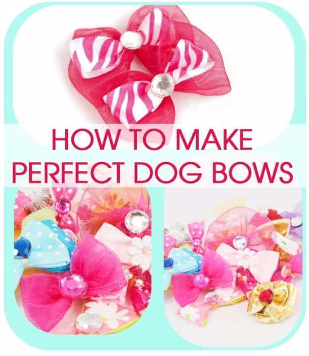 DIY Dog Grooming Tutorials - How to Make Dog Bows - Cool and Easy Ways to Wash, Groom and Style Your Pets Fur - Trim Toenails, Brush Teeth, Bath, Trim and Clip Dogs Fur - Hair - Remove Fleas and Anti Itch - Save Money At The Groomer By Learning How To Do These Things At Home #diy #pets #dog