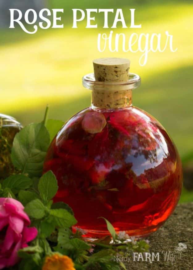 DIY Ideas With Rose Petals - Rose Petal Vinegar - Crafts and DIY Projects, Recipes You Can Make With Rose Petals - Creative Home Decor and Gift Ideas Make Awesome Mothers Day and Christmas Gifts - Crafts and Do It Yourself by DIY JOY #rosecrafts #diygifts