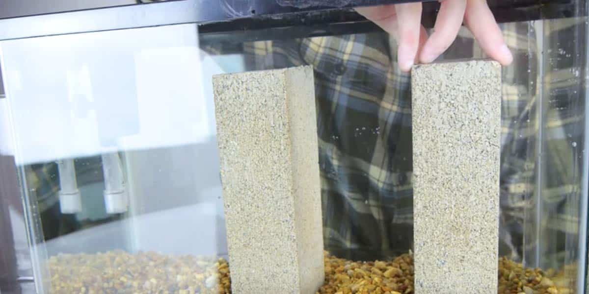 Watch What He Does To Show His Fish Swimming Above The Natural Water Level (Brilliant!) | DIY Joy Projects and Crafts Ideas