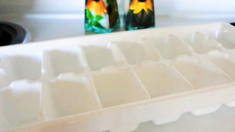 You Won’t Believe What She Makes With This Ice Cube Tray (Watch!) | DIY Joy Projects and Crafts Ideas
