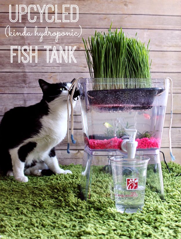 DIY Aquarium Ideas - Upcycled Fish Tank - Cool and Easy Decorations for Tank Aquariums, Mason Jar, Wall and Stand Projects for Fish - Creative Background Ideas - Fun Tutorials for Kids to Make With Plants and Decor - Best Home Decor and Crafts by DIY JOY