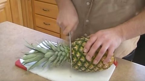 Did You Know You Could Easily Grow Pineapples At Home? Learn How… | DIY Joy Projects and Crafts Ideas