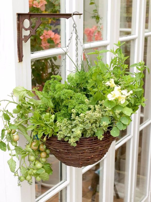 Best Country Decor Ideas for Your Porch - Hanging Herb and Vegetable Basket - Rustic Farmhouse Decor Tutorials and Easy Vintage Shabby Chic Home Decor for Kitchen, Living Room and Bathroom - Creative Country Crafts, Furniture, Patio Decor and Rustic Wall Art and Accessories to Make and Sell 