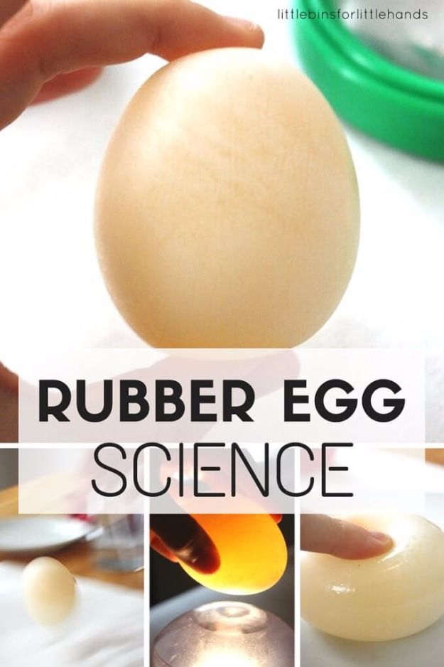 DIY Stem and Science Ideas for Kids and Teens - Rubber Egg Science - Fun and Easy Do It Yourself Projects and Crafts Using Math, Electronics, Engineering Concepts and Basic Building Skills - Creatve and Cool Project Tutorials For Kids To Make At Home This Summer - Boys, Girls and Teenagers Have Fun Making Room Decor, Experiments and Playtime STEM Fun #stem #diyideas #stemideas #kidscrafts