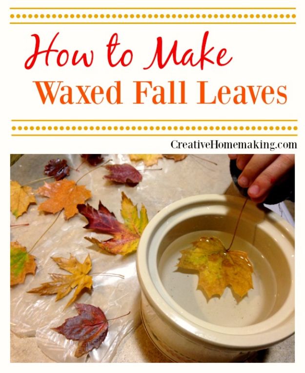 Best Crafts for Fall - Waxed Fall Leaves - DIY Mason Jar Ideas, Dollar Store Crafts, Rustic Pumpkin Ideas, Wreaths, Candles and Wall Art, Centerpieces, Wedding Decorations, Homemade Gifts, Craft Projects with Leaves, Flowers and Burlap, Painted Art, Candles and Luminaries for Cool Home Decor - Quick and Easy Projects With Step by Step Tutorials and Instructions 