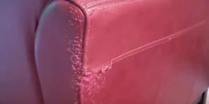Her Cat Scratched Up Her Leather Sofa And Here’s What She Did To Repair It. Easy!